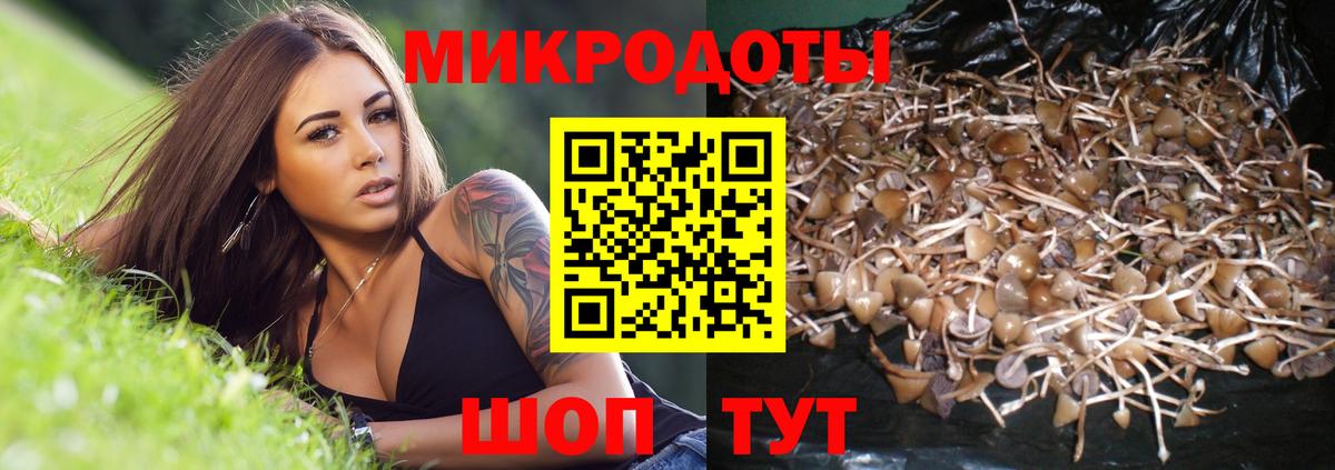 Галлюциногенные грибы ЛСД  Галлюциногенные грибы ЛСД  Вход с VPN  Трёхгорный 